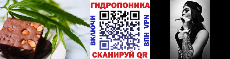 Canna-Cookies конопля  где купить наркотик  нарко площадка состав  Циолковский  кракен сайт 